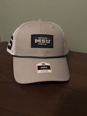 Michigan State